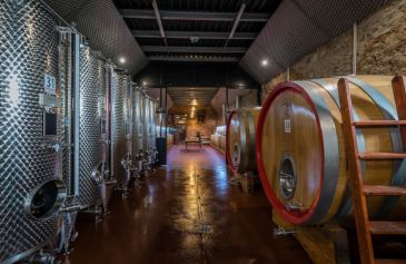Vinohrady a výroba vína
